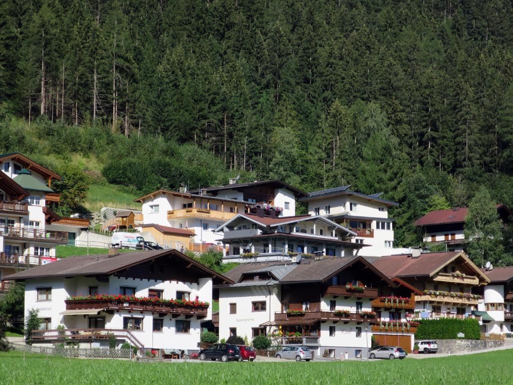 Příroda nedaleko apartmánu