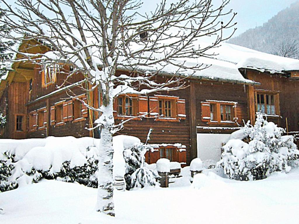 een besneeuwd huis met een boom ervoor bij Apartment Helmreich-2 by Interhome in Sankt Gallenkirch