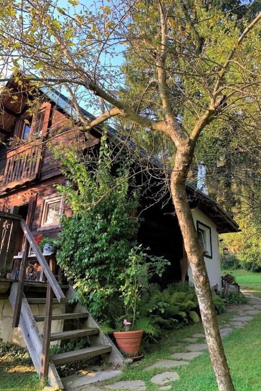 Zahrada ubytování Chalet Reserl by Interhome