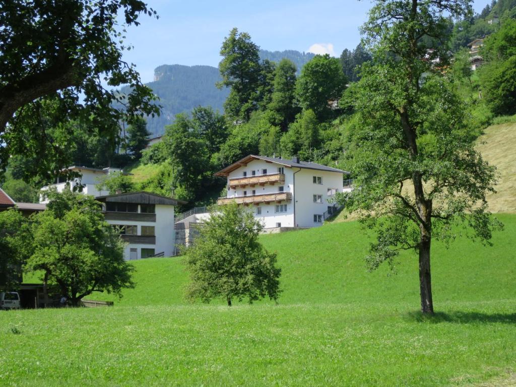 ein Haus auf einem Hügel mit einem Baum auf einem Feld in der Unterkunft Apartment Waldeck - MHO511 Appartement 2 by Interhome in Hippach