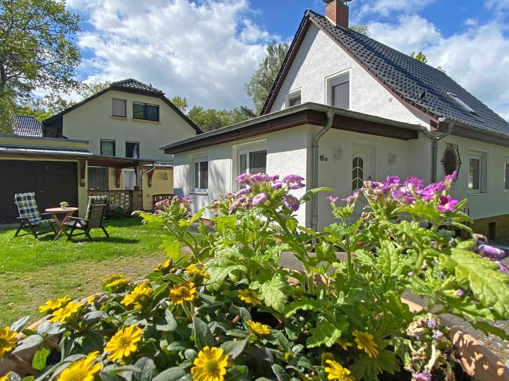 バーベにあるFeWo "Hoffi" am Waldesrandの庭花園付家