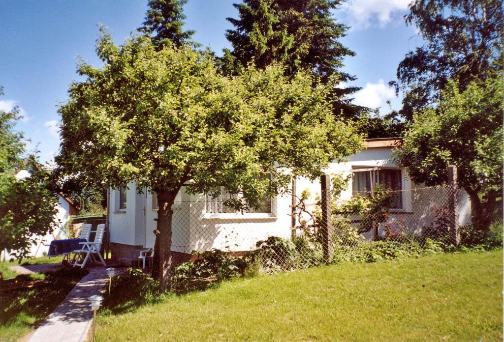クラーコー・アム・ゼーにあるFerienhaus Krakow am See SEE 4001の庭木のある小さな白い家
