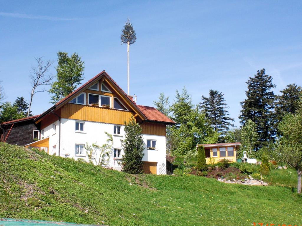 ヒンターツァルテンにあるApartment Mühlenmichelshäusle by Interhomeの丘の脇の家