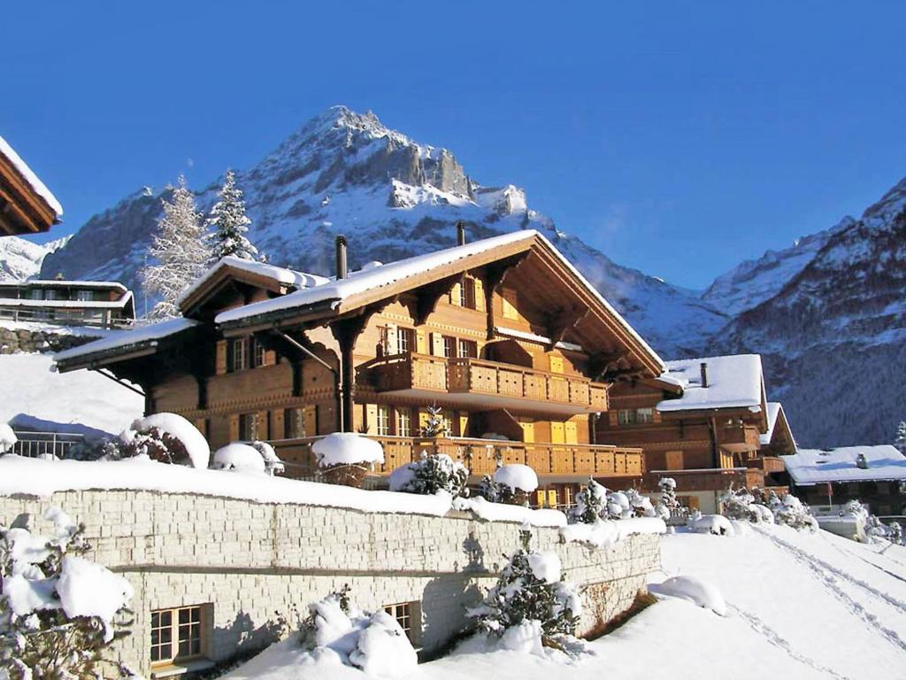 Grindelwald Швейцария горнолыжка