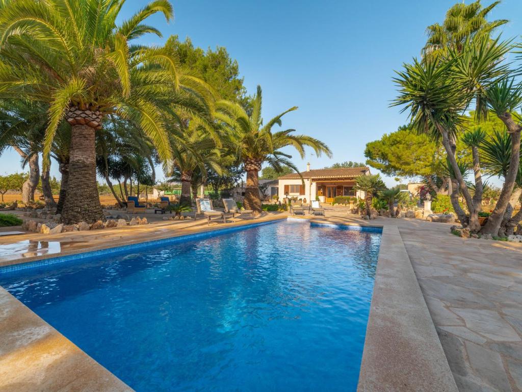 a swimming pool with palm trees and a house at Holiday Home Morla - PSR130 by Interhome in Porreres