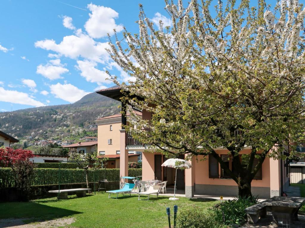 a tree in the yard of a house at Apartment Domenica - GRV150 by Interhome in Consiglio di Rumo