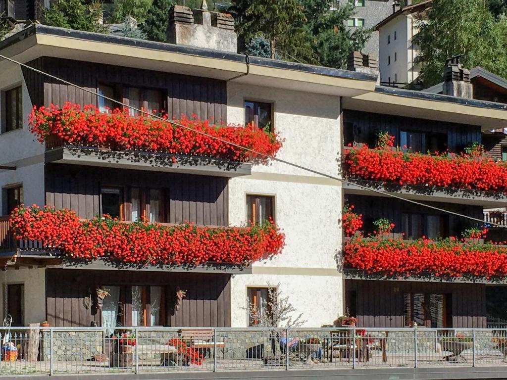 a building with red flowers in window boxes at Apartment La Tata by Interhome in Valtournenche