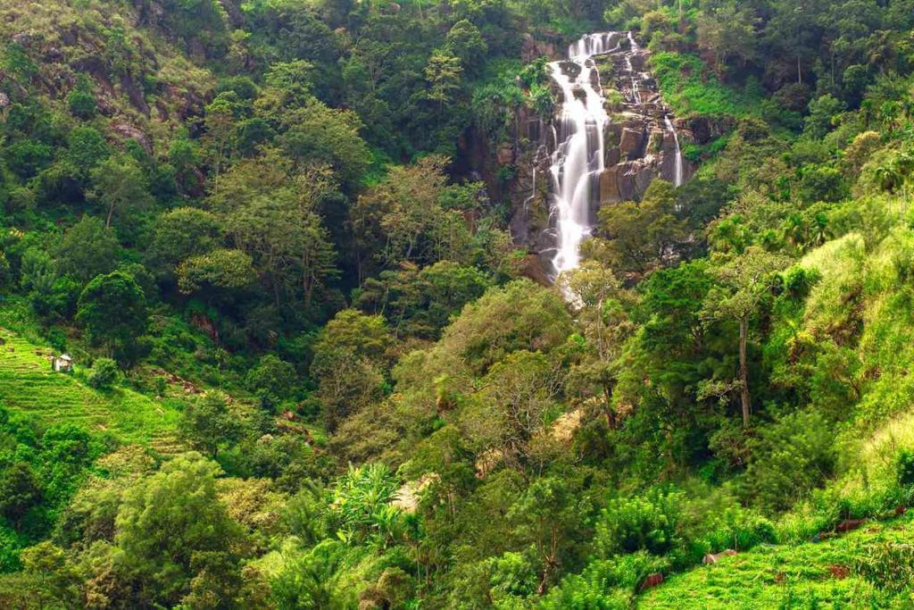 Minthu Homestay - 10