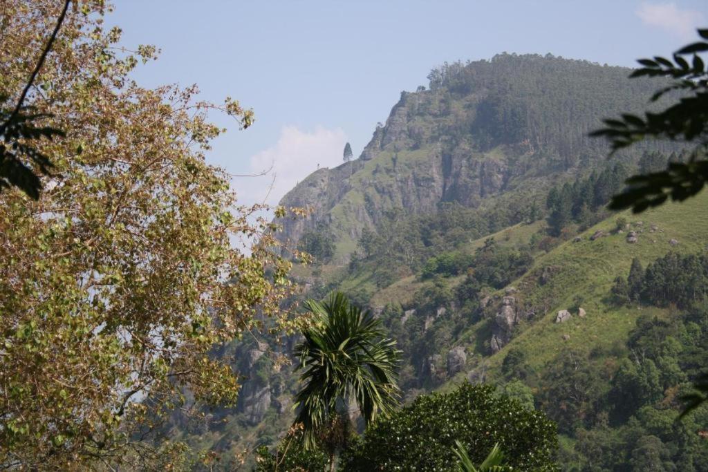 Minthu Homestay - 18