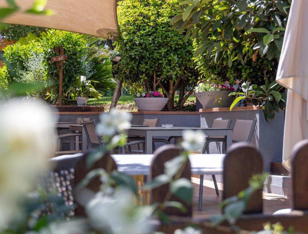 Zahrada ubytování Hotel Esteba