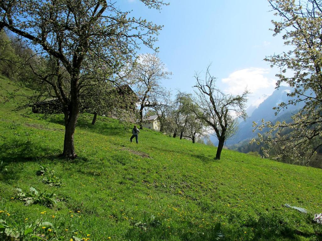 a person walking on a grassy hill with trees at Apartment Achtalgut-1 by Interhome in Lend