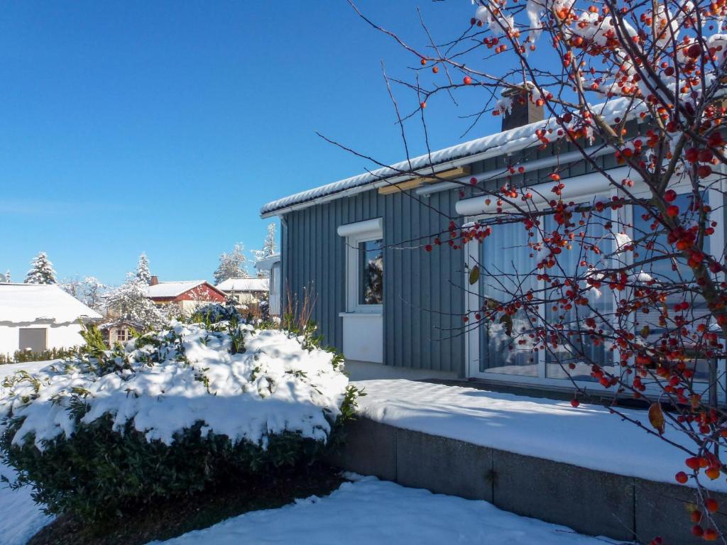 a house in the snow with snow covered bushes at Holiday Home Hochwald by Interhome in Dittishausen