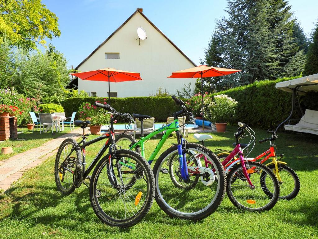 Jízda na kole v ubytování Holiday Home Flamingo by Interhome nebo okolí