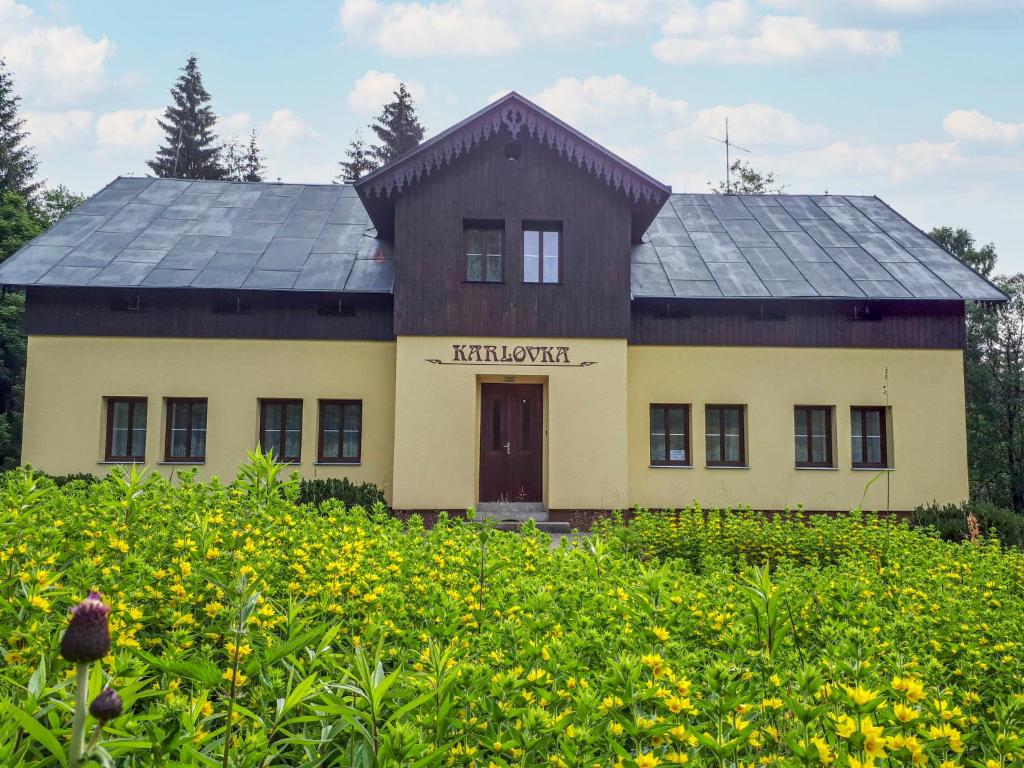 una casa en un campo de flores amarillas en Chalet Karlovka by Interhome, en Hrabětice