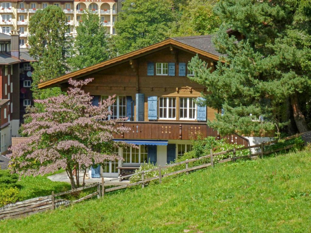 a house on the side of a hill at Chalet Arche by Interhome in Wengen