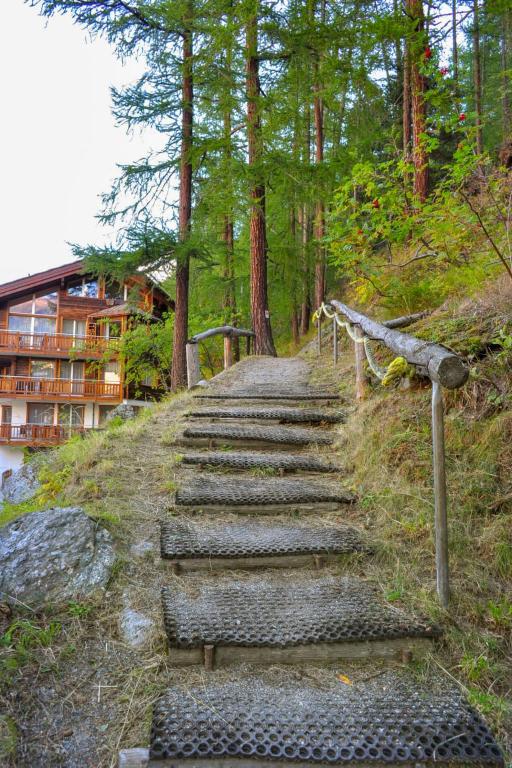 Příroda nedaleko apartmánu
