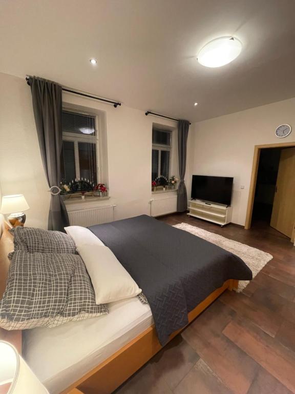 a bedroom with a bed and a flat screen tv at Einraum Ferienwohnung im Zentrum in Aue