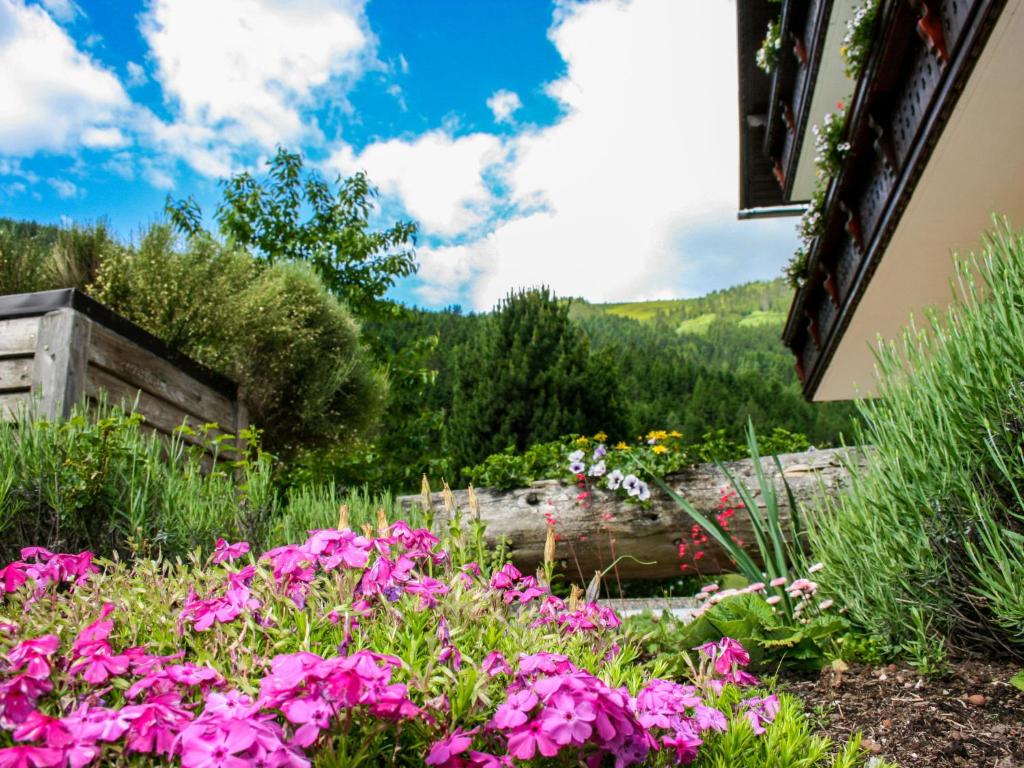 Zahrada ubytování Apartment Hochjoch by Interhome