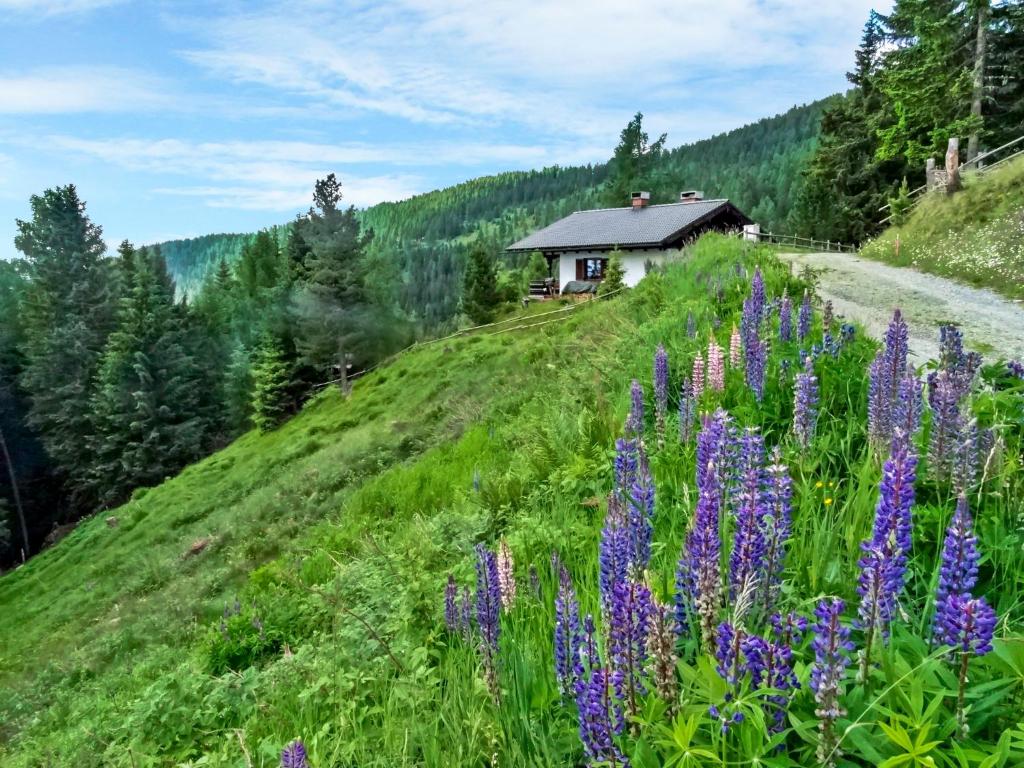 a house on the side of a hill with purple flowers at Holiday Home Lotte by Interhome in Sirnitz-Sonnseite