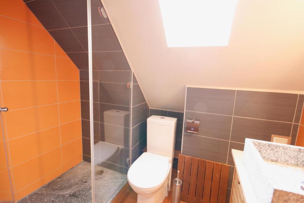 a bathroom with a toilet and a glass shower at Appartement Rapp in Colmar