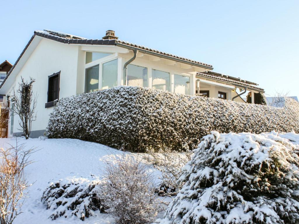 a house with snow on the ground in front of it at Holiday Home Nest by Interhome in Dittishausen