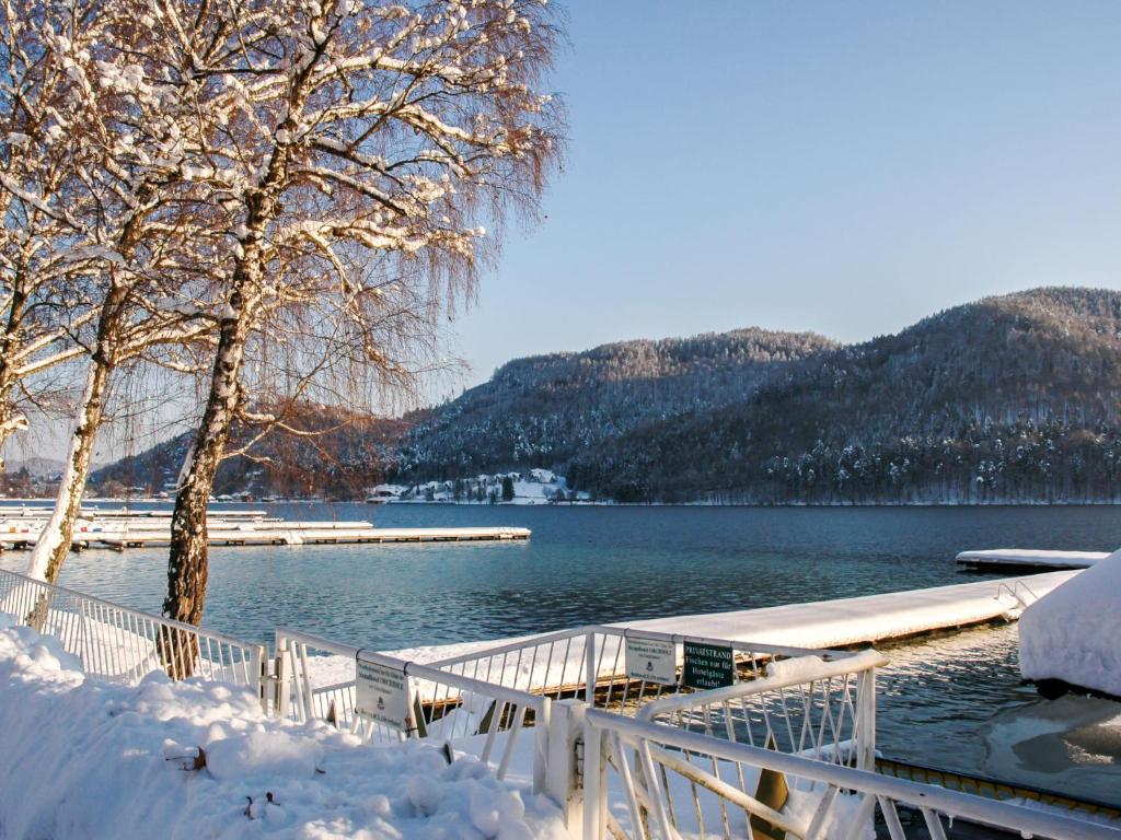 a dock with snow on the ground next to a lake at Apartment Kitzelberg by Interhome in Srejach