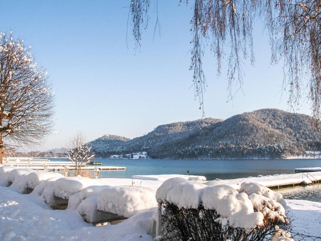 a snow covered park with a lake and mountains at Apartment Seerain by Interhome in Srejach