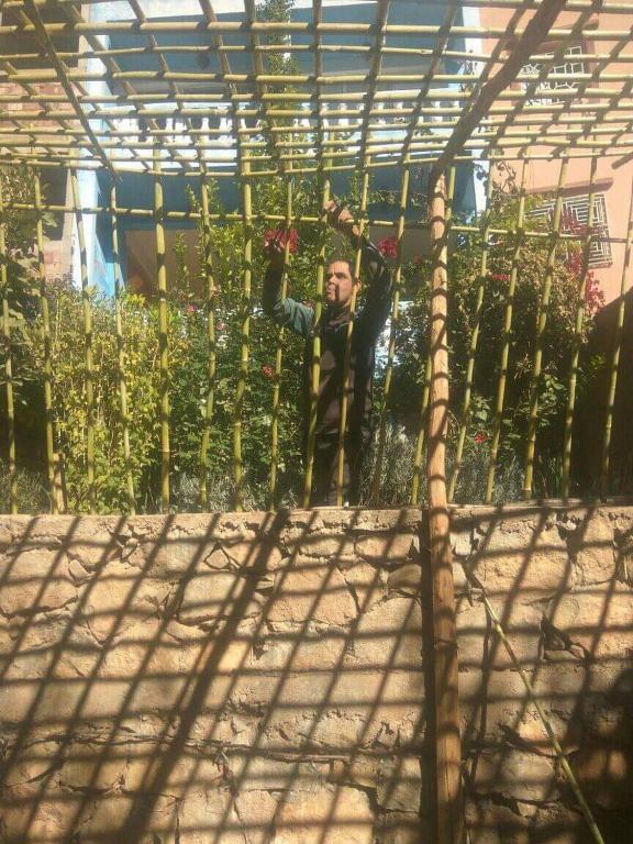 A secret garden - Housity