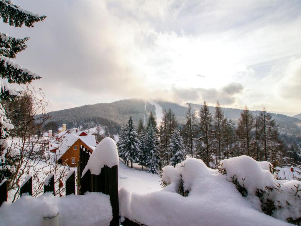 Holiday Home Albrechtice by Interhome v zimě