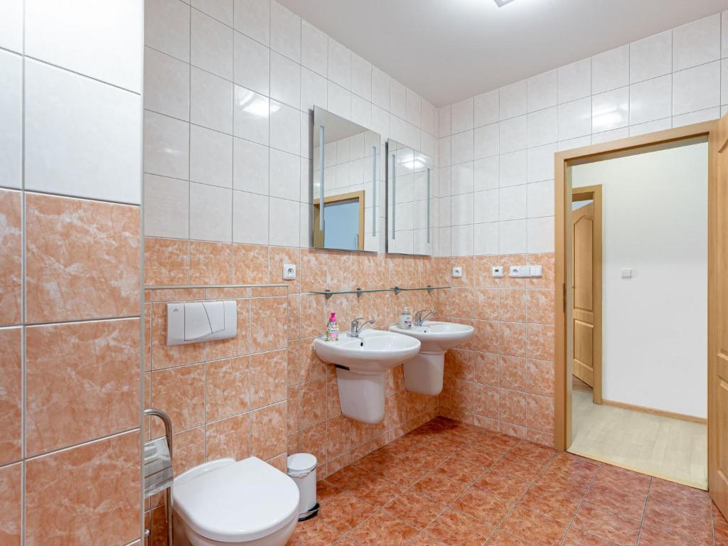 Koupelna v ubytování Holiday Home Albrechtice by Interhome