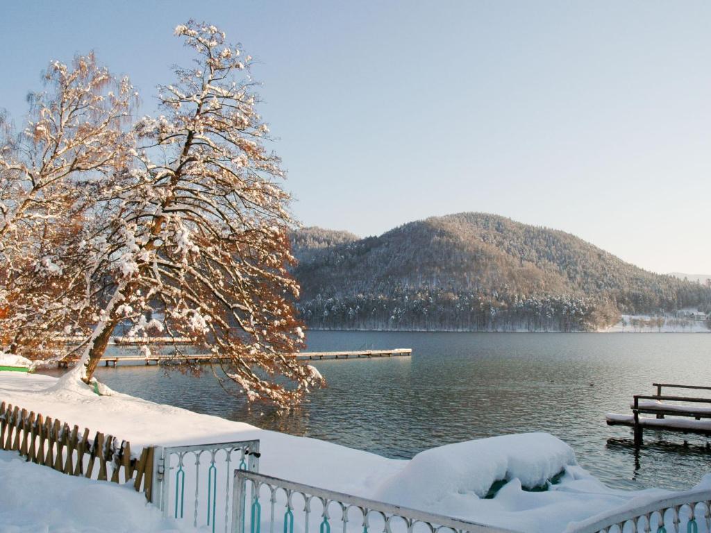 Příroda nedaleko apartmánu