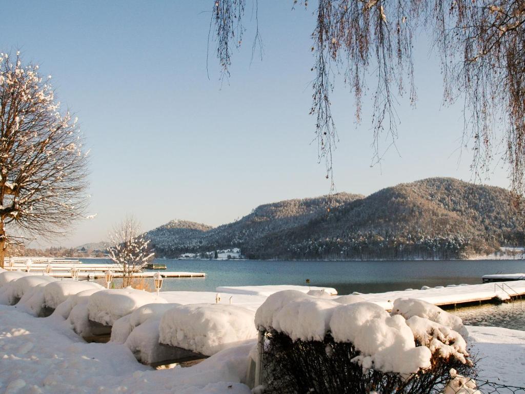 Příroda nedaleko apartmánu