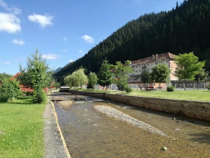 un río en un campo con un edificio y una montaña en Comoara Hășmașului, en Bălan