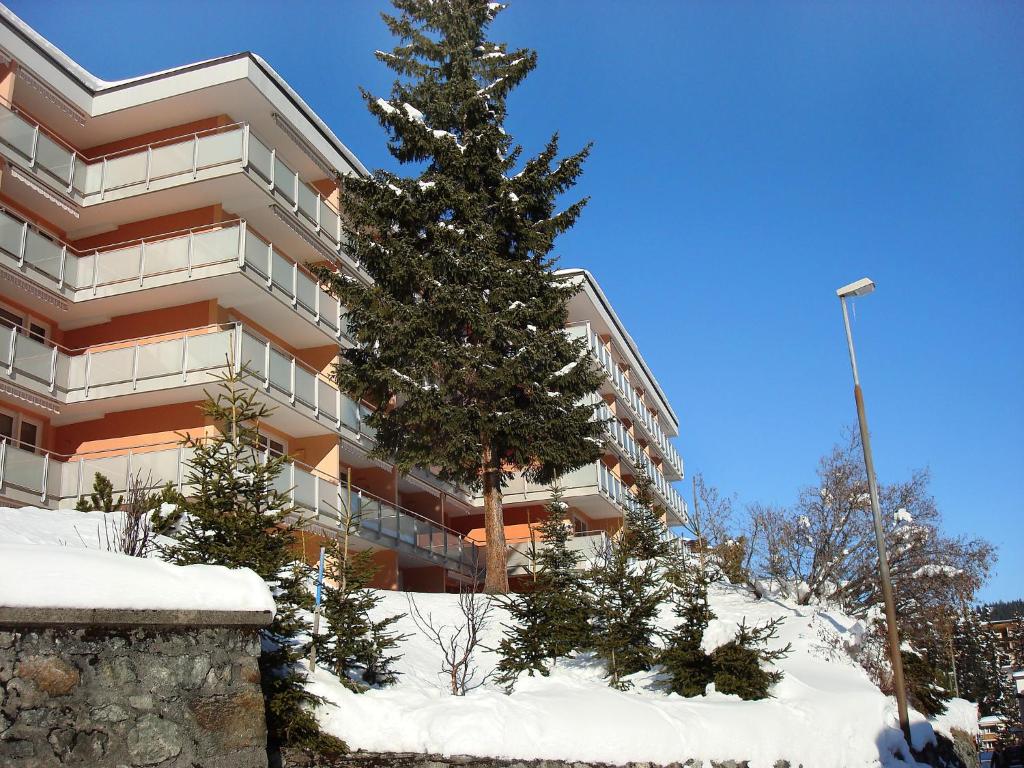 a tree in the snow in front of a building at Apartment Promenade - Utoring-5 by Interhome in Arosa