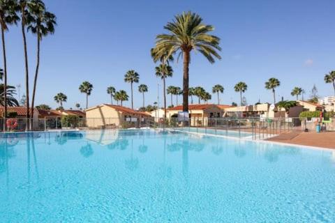 ein großer blauer Pool mit Palmen im Hintergrund in der Unterkunft Bungalow Santa Fe en centro de Playa del Inglés in Maspalomas