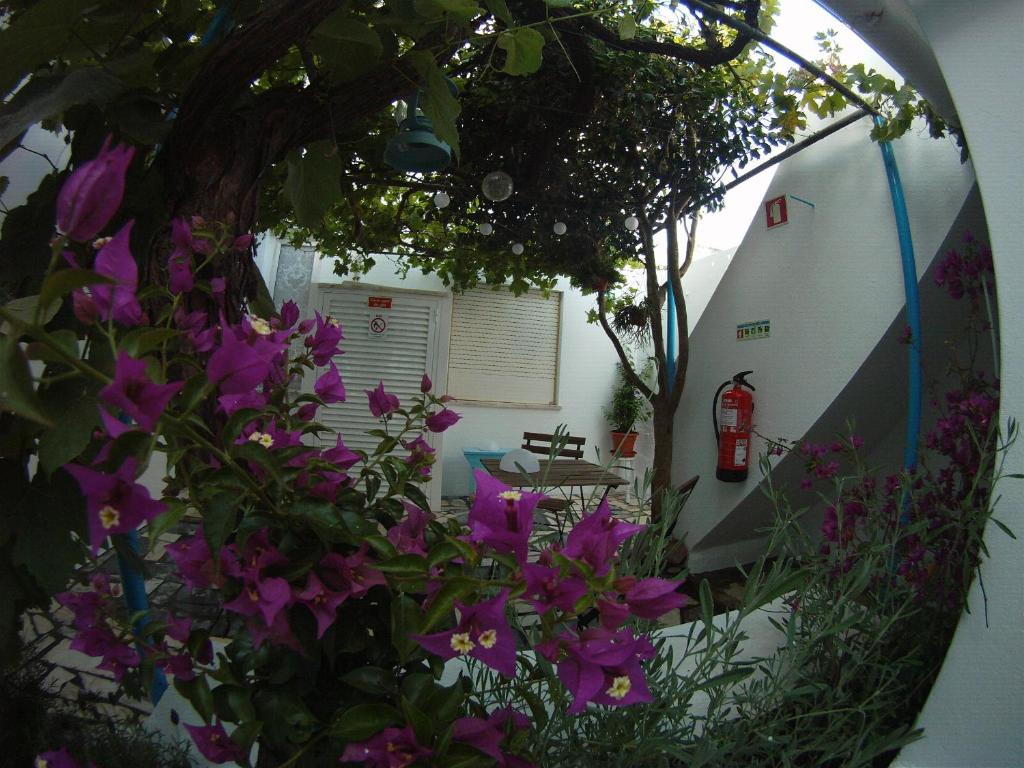 Zahrada ubytování Ahoy Porto Covo Hostel
