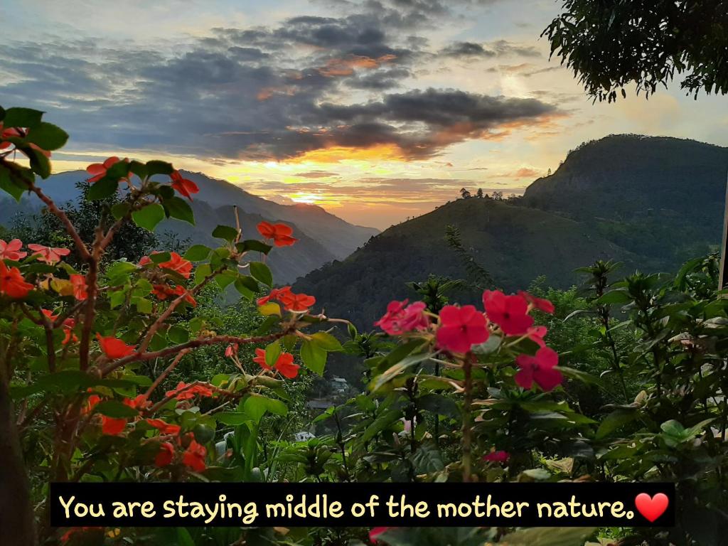 Glorious Nature Inn - 15