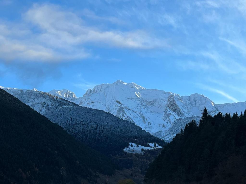 Príroda v okolí dovolenkového domu