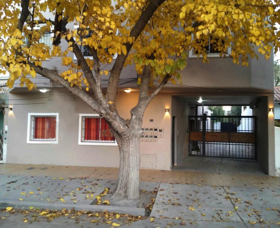 San Miguel Departamentos