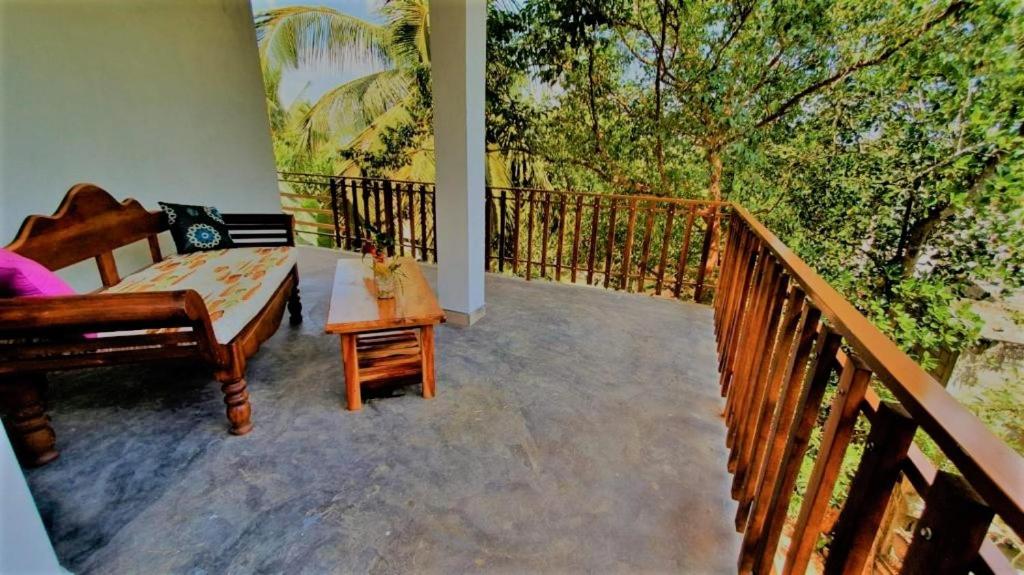 Turtle Paradise - 14