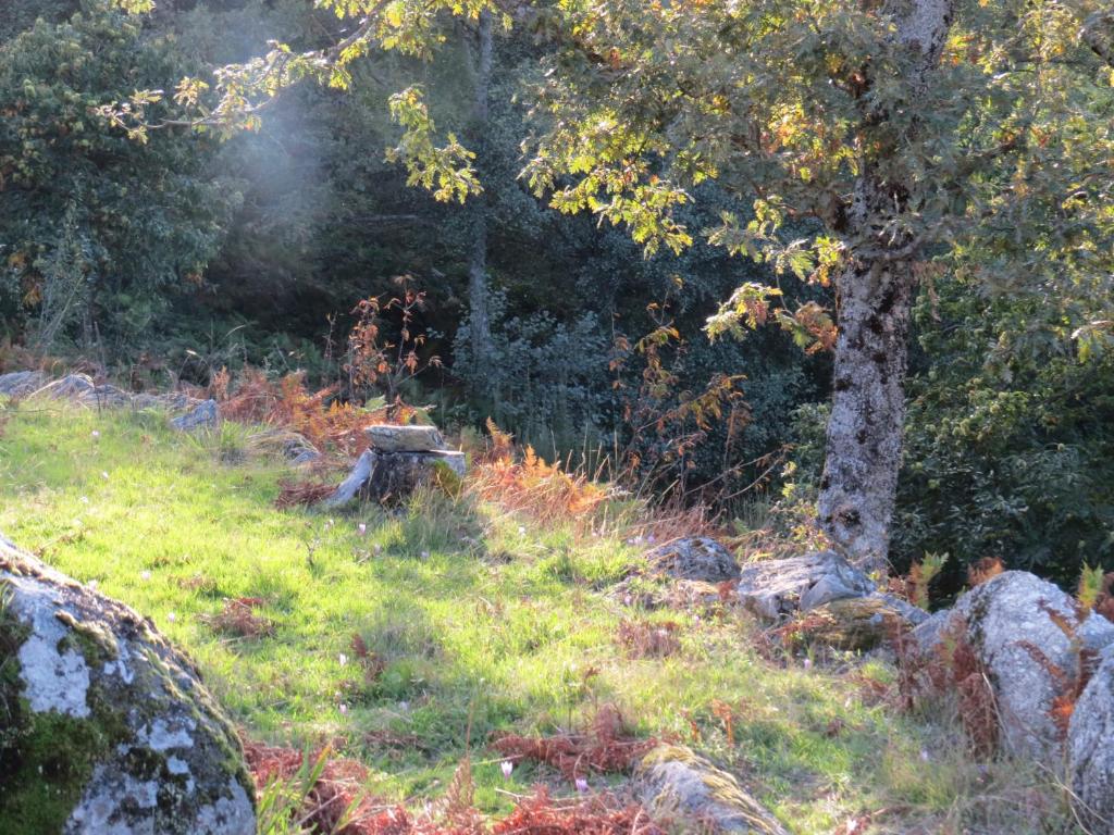 Restored, rustic and rural mini cottage in typical Portuguese