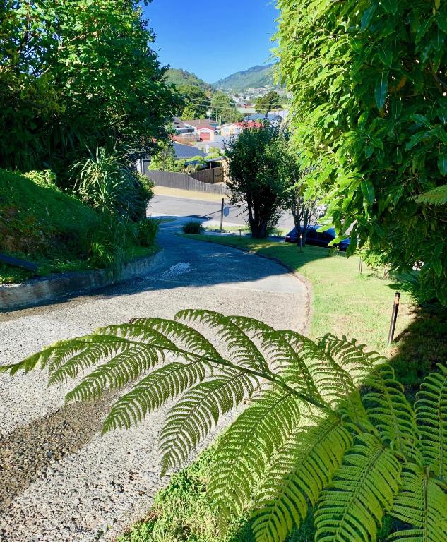 Koru Havenz - Resim 16