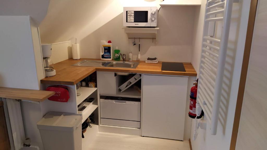 Kuchyň nebo kuchyňský kout v ubytování Guesthouse Hateigi 2