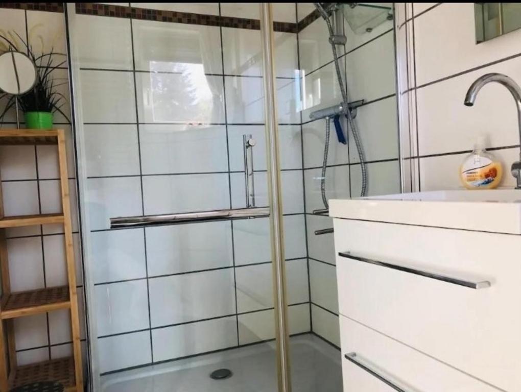 a shower with a glass door in a bathroom at Bungalow 33 in Tossens in Tossenserdeich