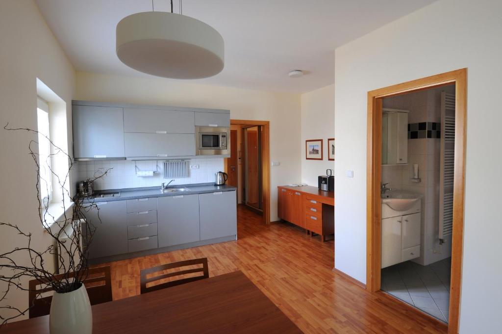 Kuchyň nebo kuchyňský kout v ubytování Apartmány Kramer