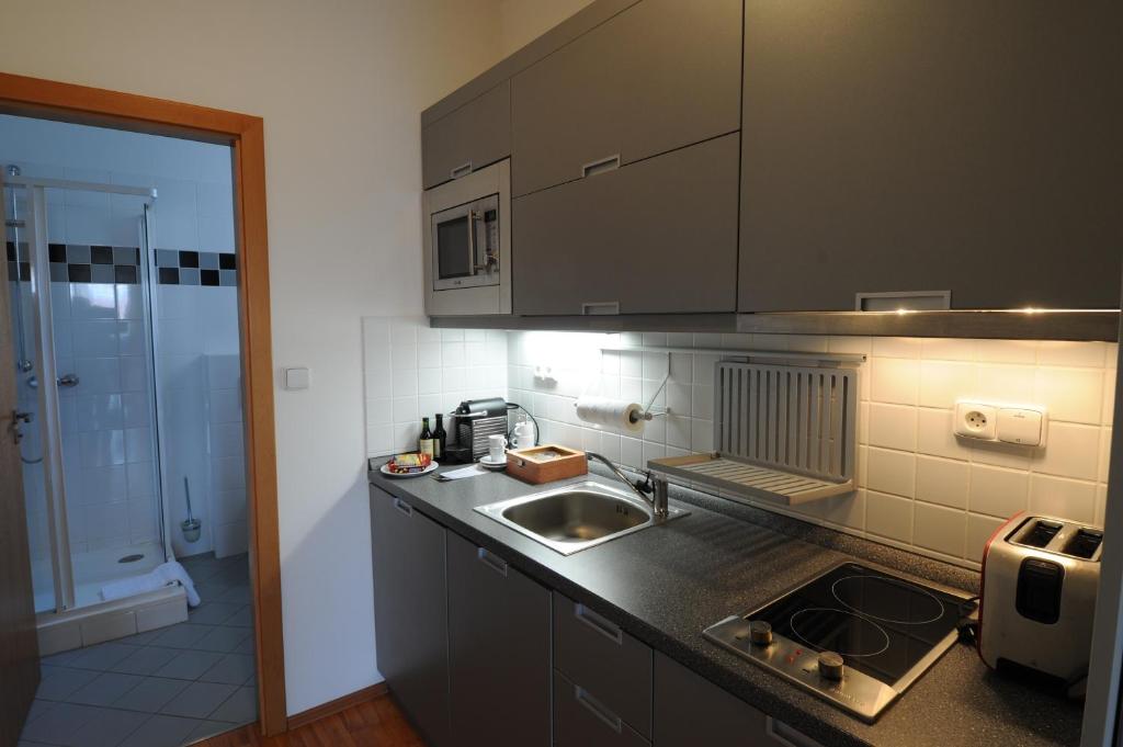 Kuchyň nebo kuchyňský kout v ubytování Apartmány Kramer