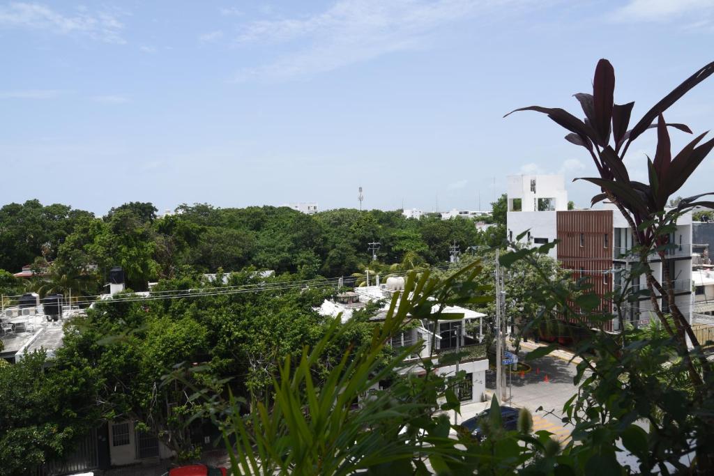 Suites calle 38 - Deluxe Queen Studio