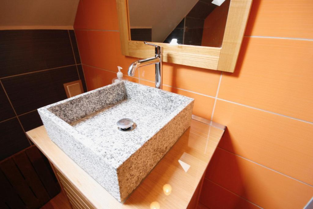 a bathroom with a sink and a mirror at Appartement Rapp in Colmar