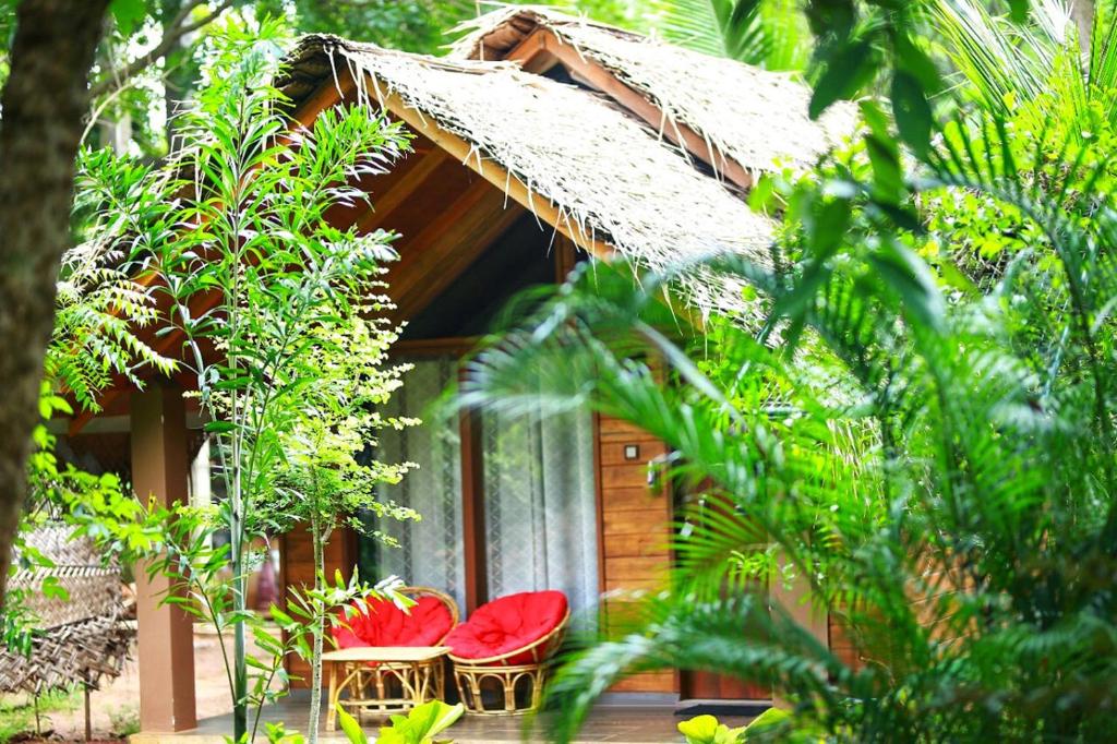 Zahrada ubytování Palmyra Nature Resort Sigiriya