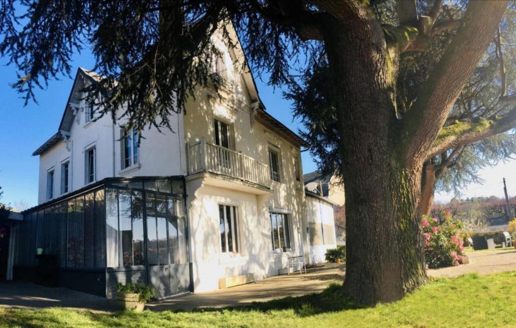 uma casa branca com uma árvore em frente em Chambres d'hôtes La Maison Blanche em Saint-Junien
